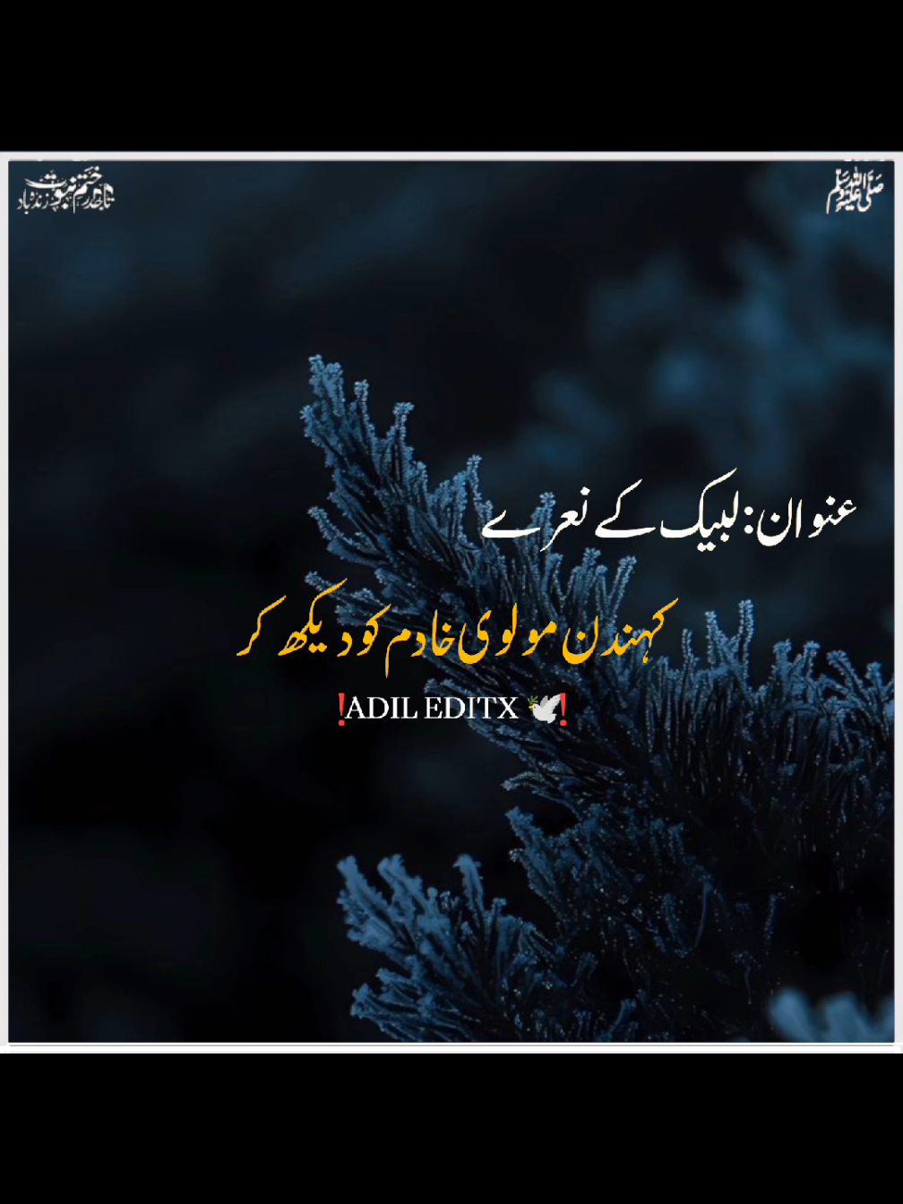 @𝗕𝗮𝗯𝗮 𝗝𝗮𝗻 ♡
