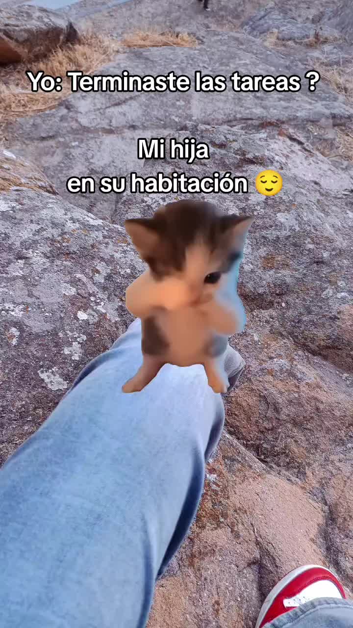 @Any Z🍀