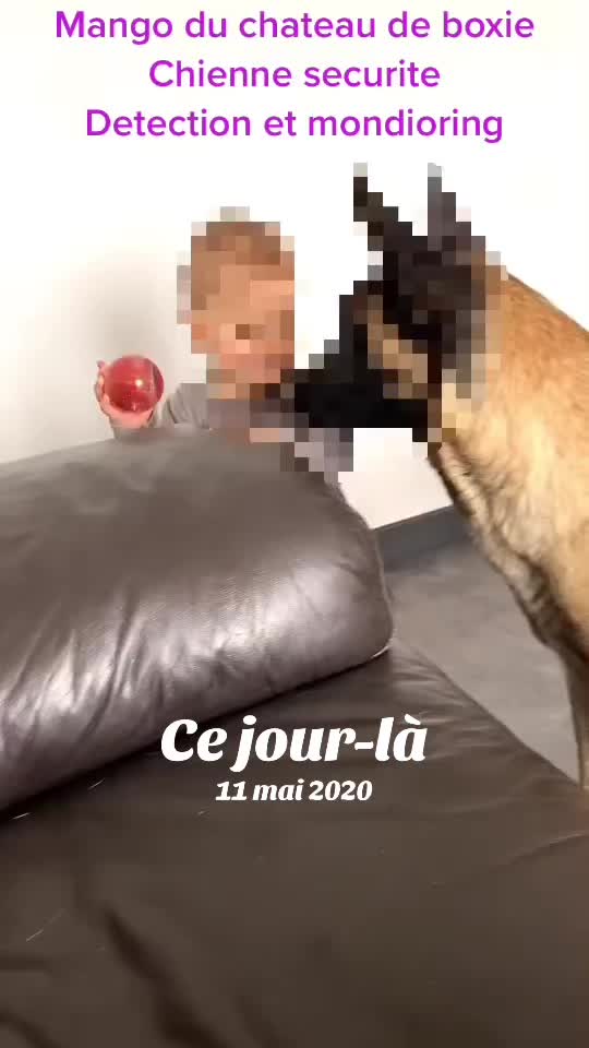 @Elisecyno