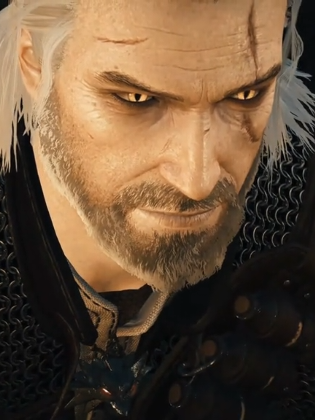 @The Witcher