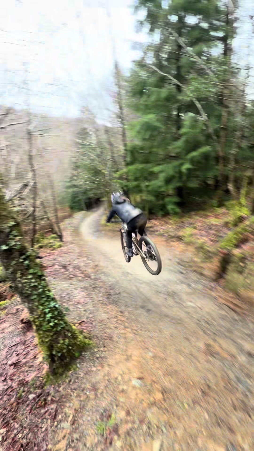 @Sofie Sherazee (mtb)