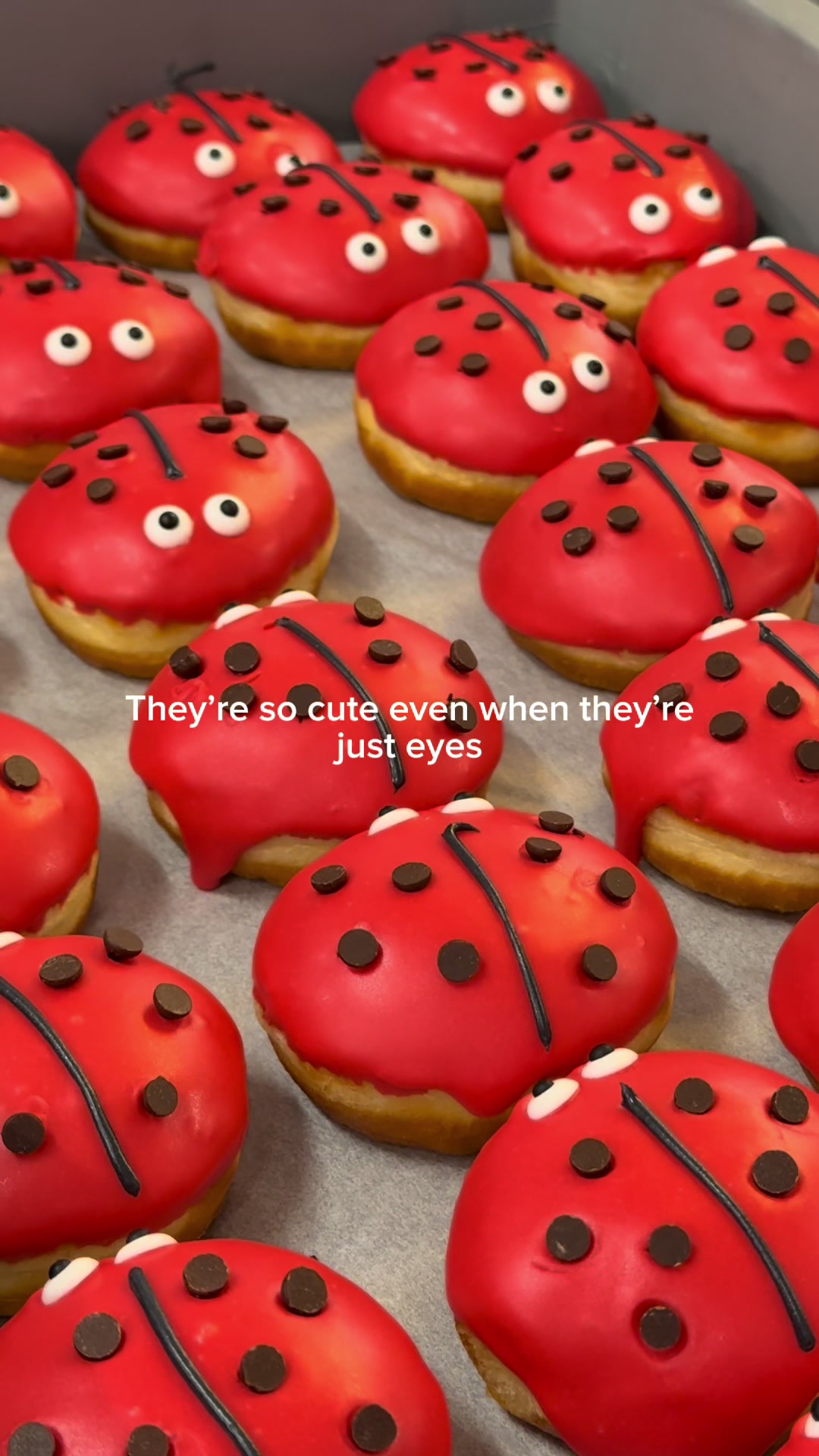 @Planet Doughnut