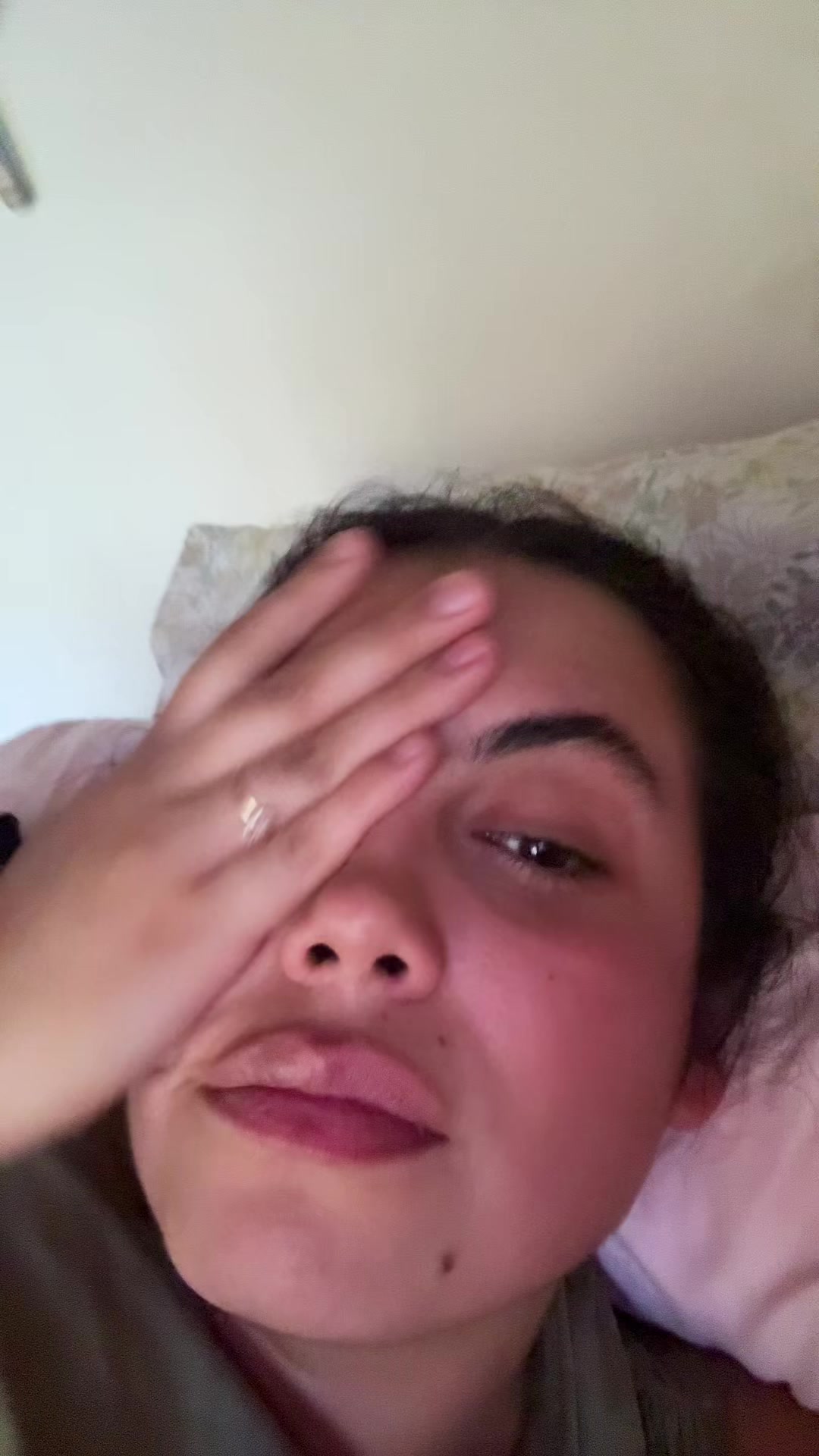@shevah.cl