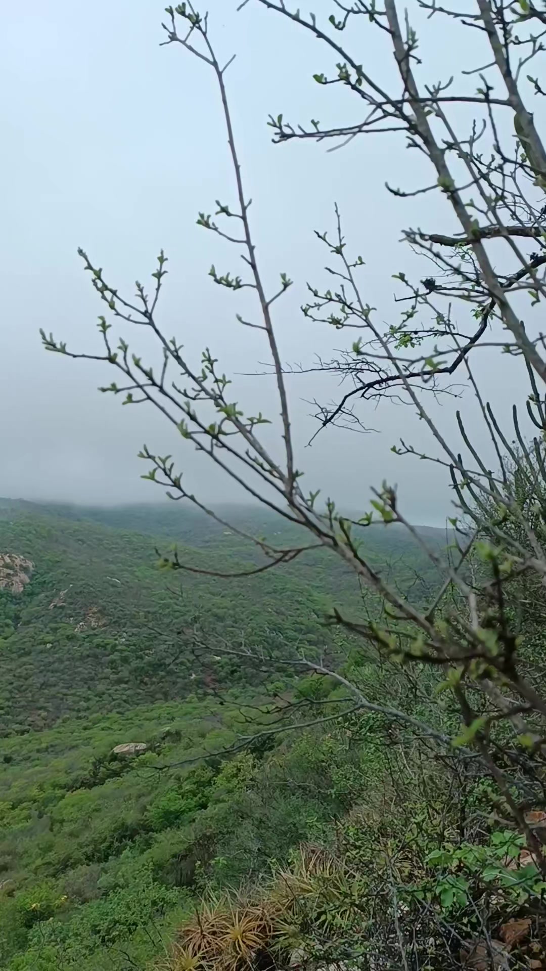 @NordesteCapturado