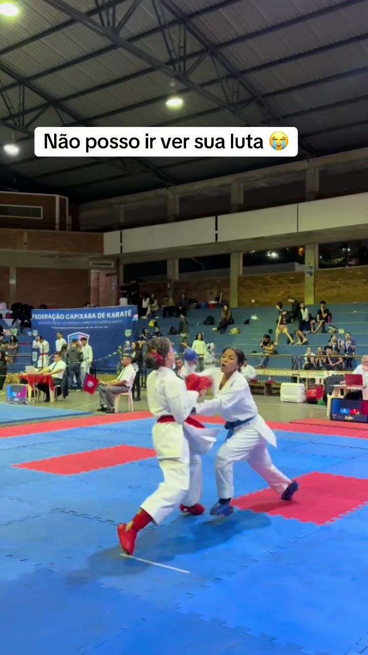 @diario.da.karateca