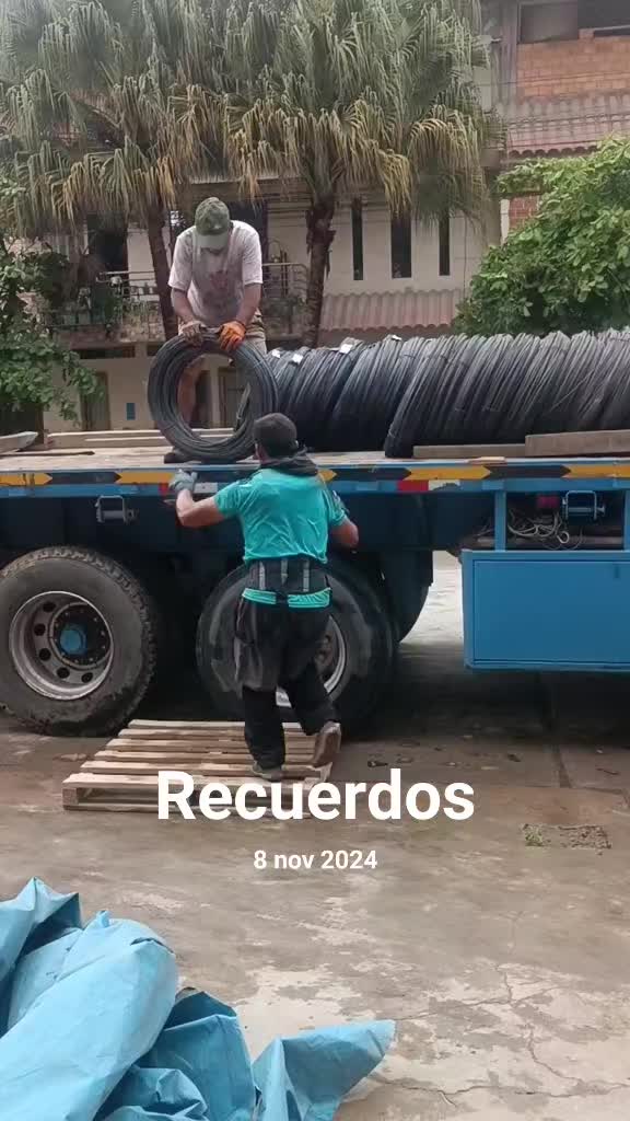 @TRANSPPEX 🚛🚛❤️