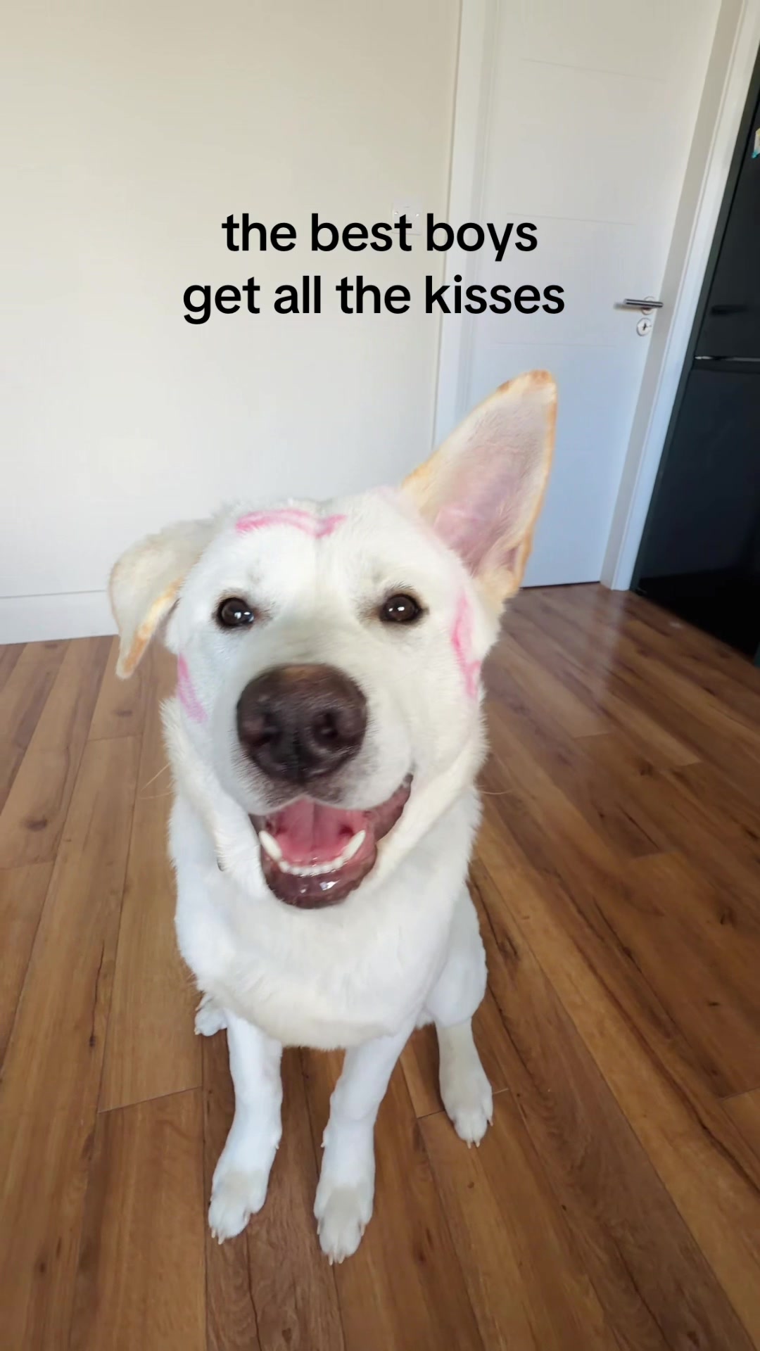 @gigiandphilmitchell