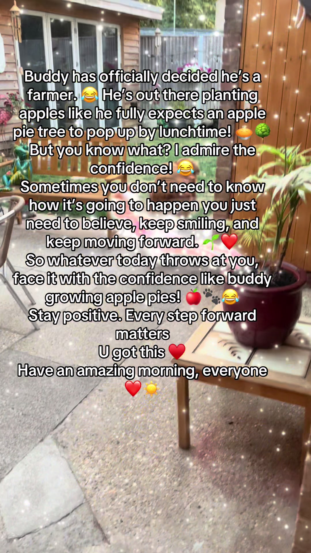 @Happy buddy
