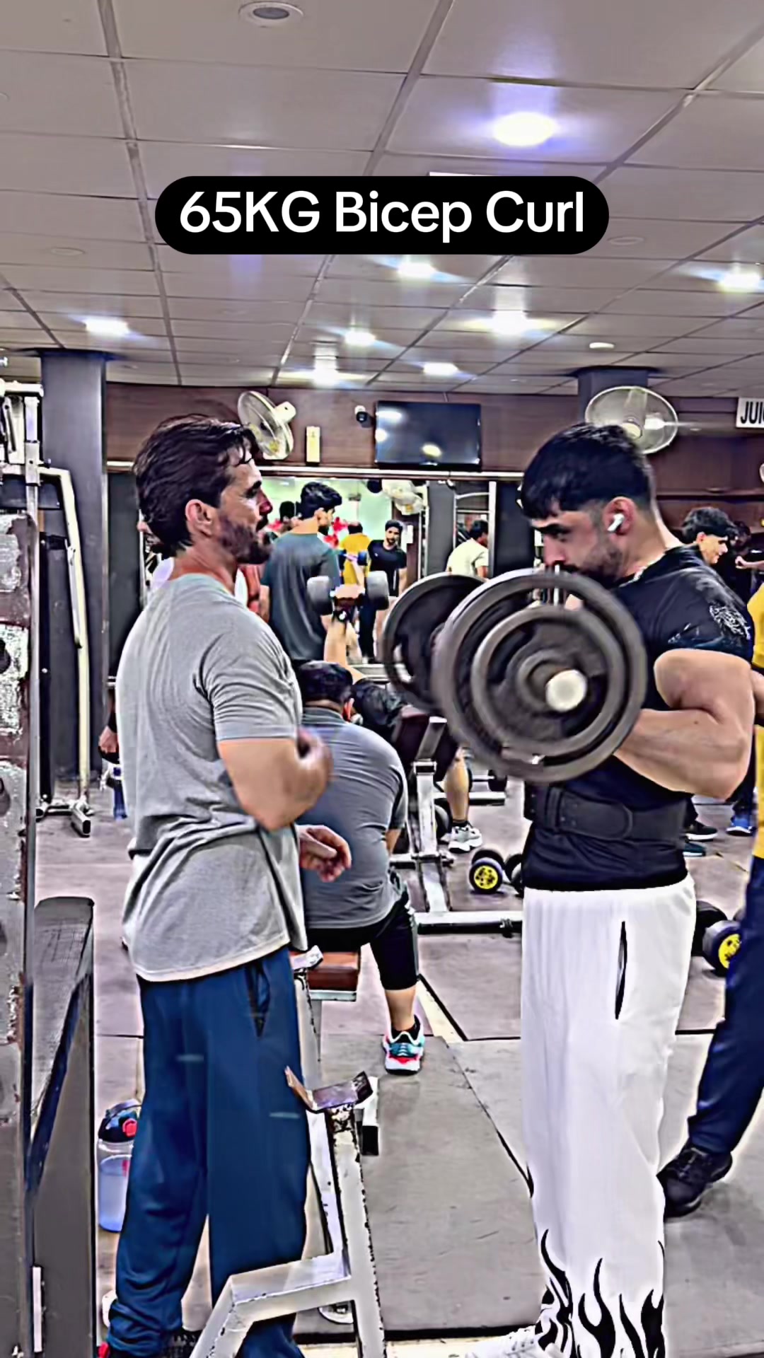 @Ausharab