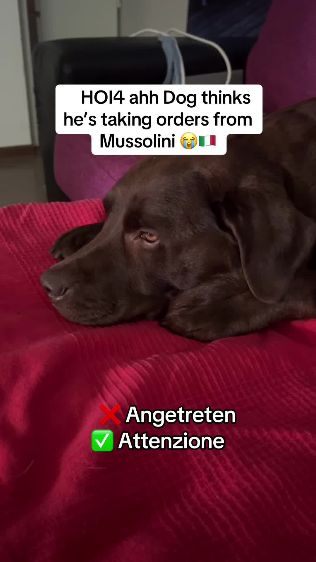 @IronOperon