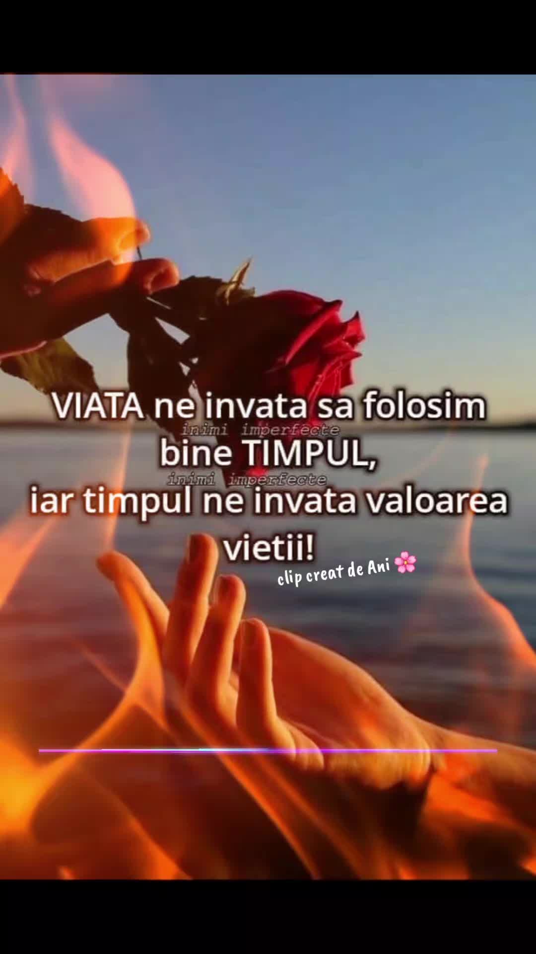 @♡5aNi♡7🌸