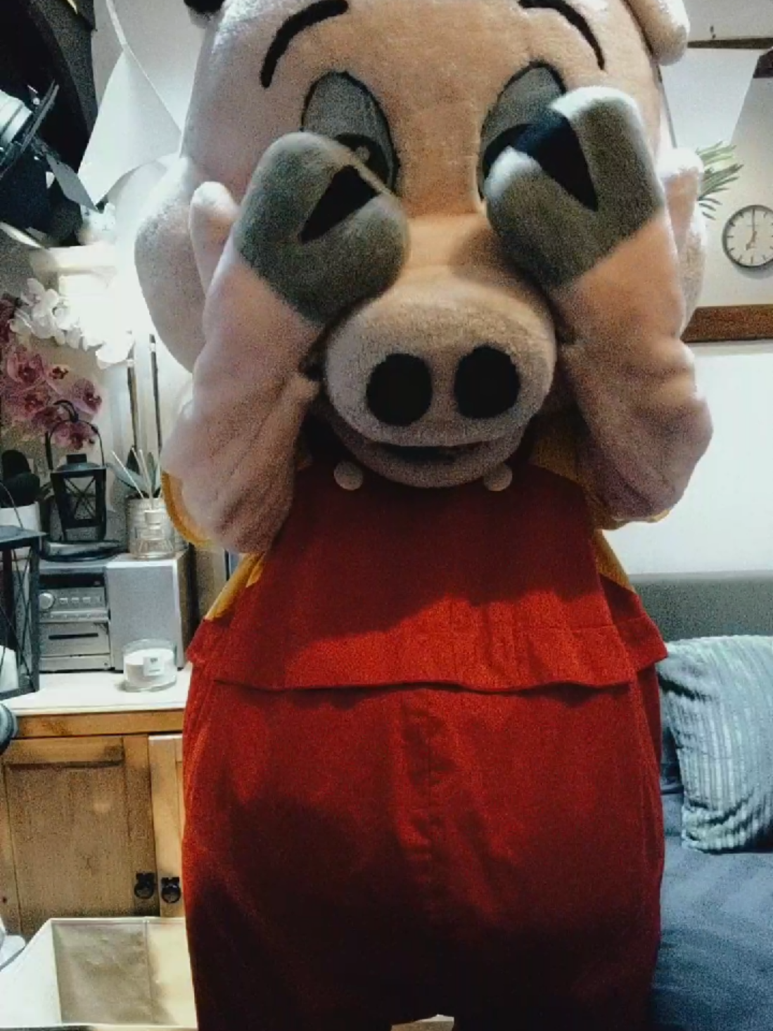 @Mascot Dan