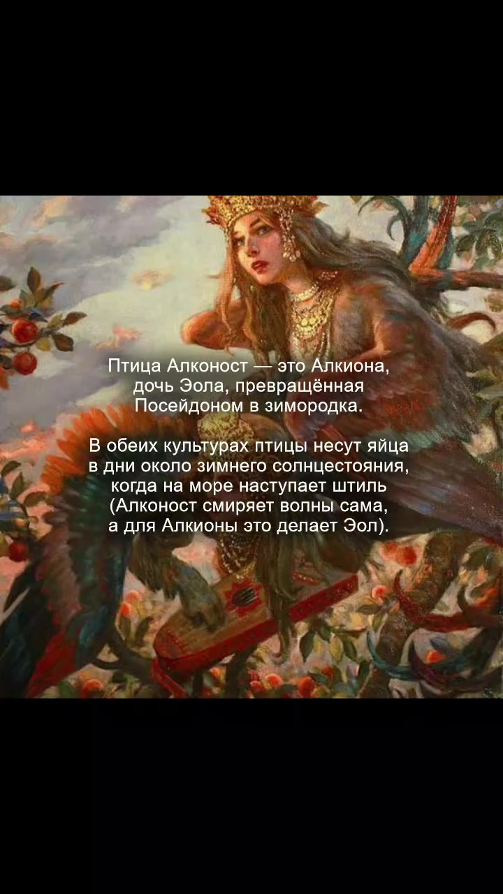 @тгк Апельсинка под мятой