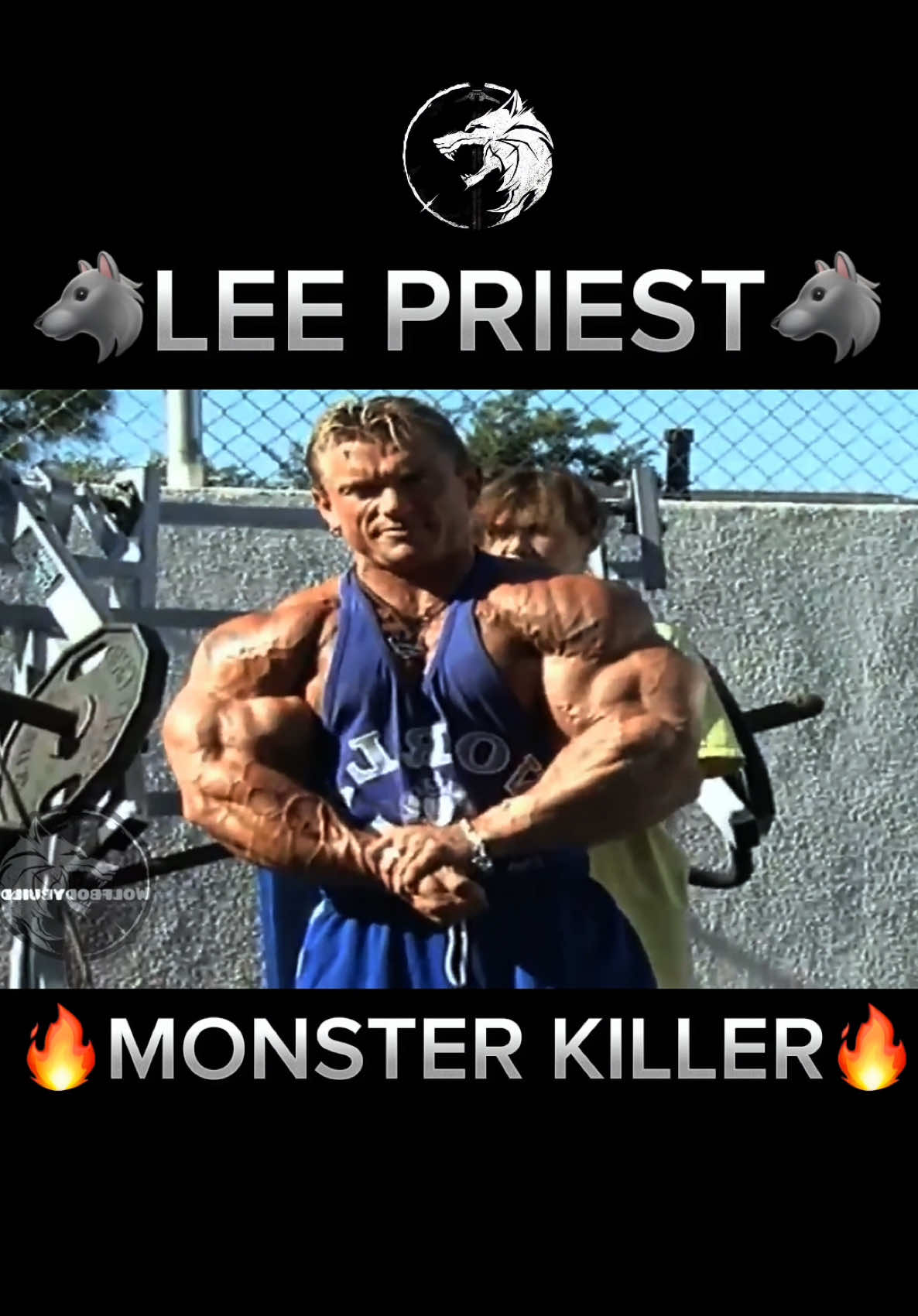@wolfbodybuilding