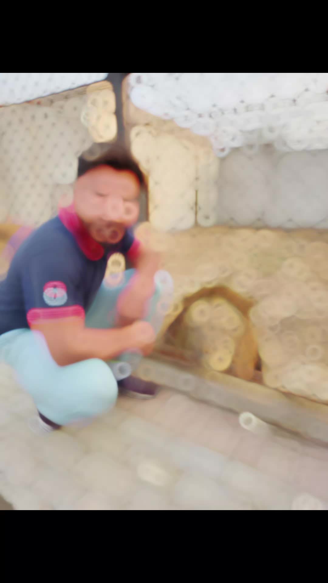 @Mian1