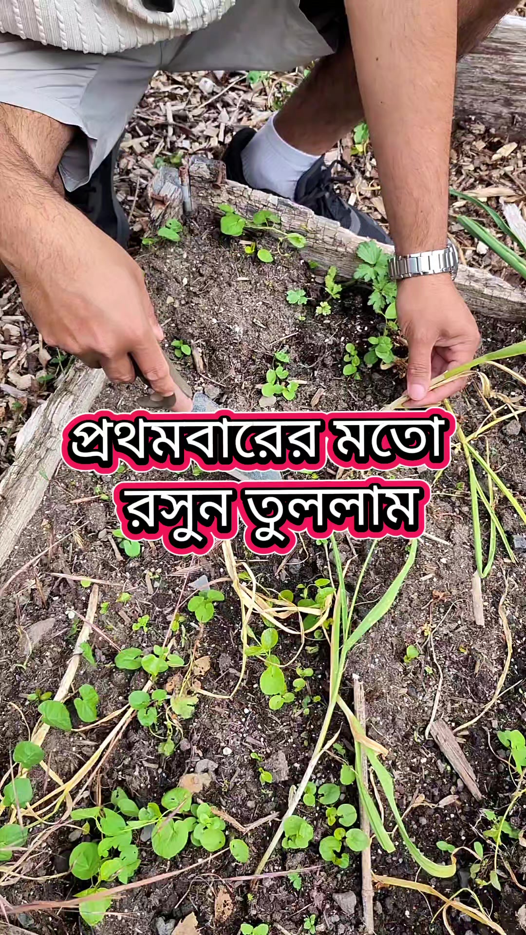 @Amar bhubon
