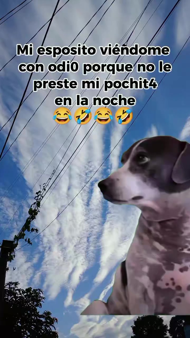 @memestristemariicruz🐈⬛ 🤣😔