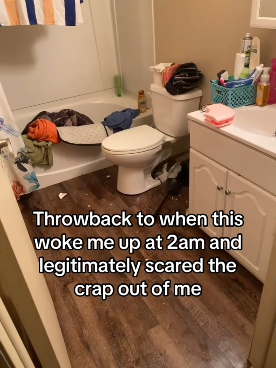 @TECHBRO4K
