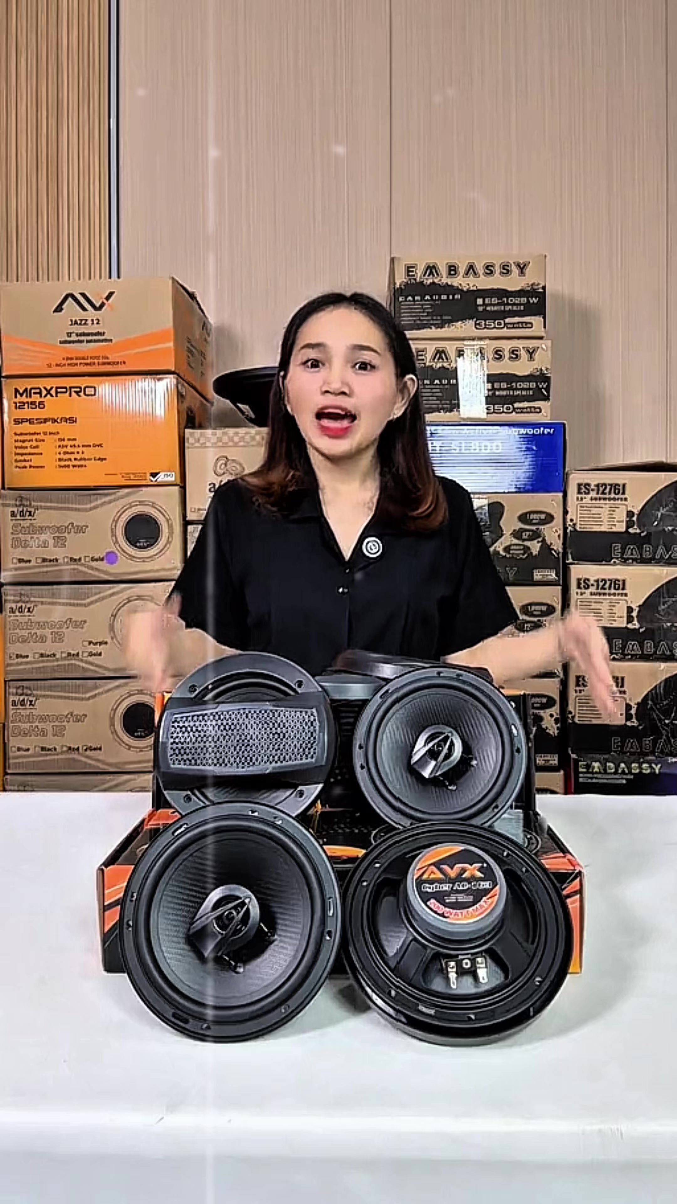 @JV Monster Car Audio Store
