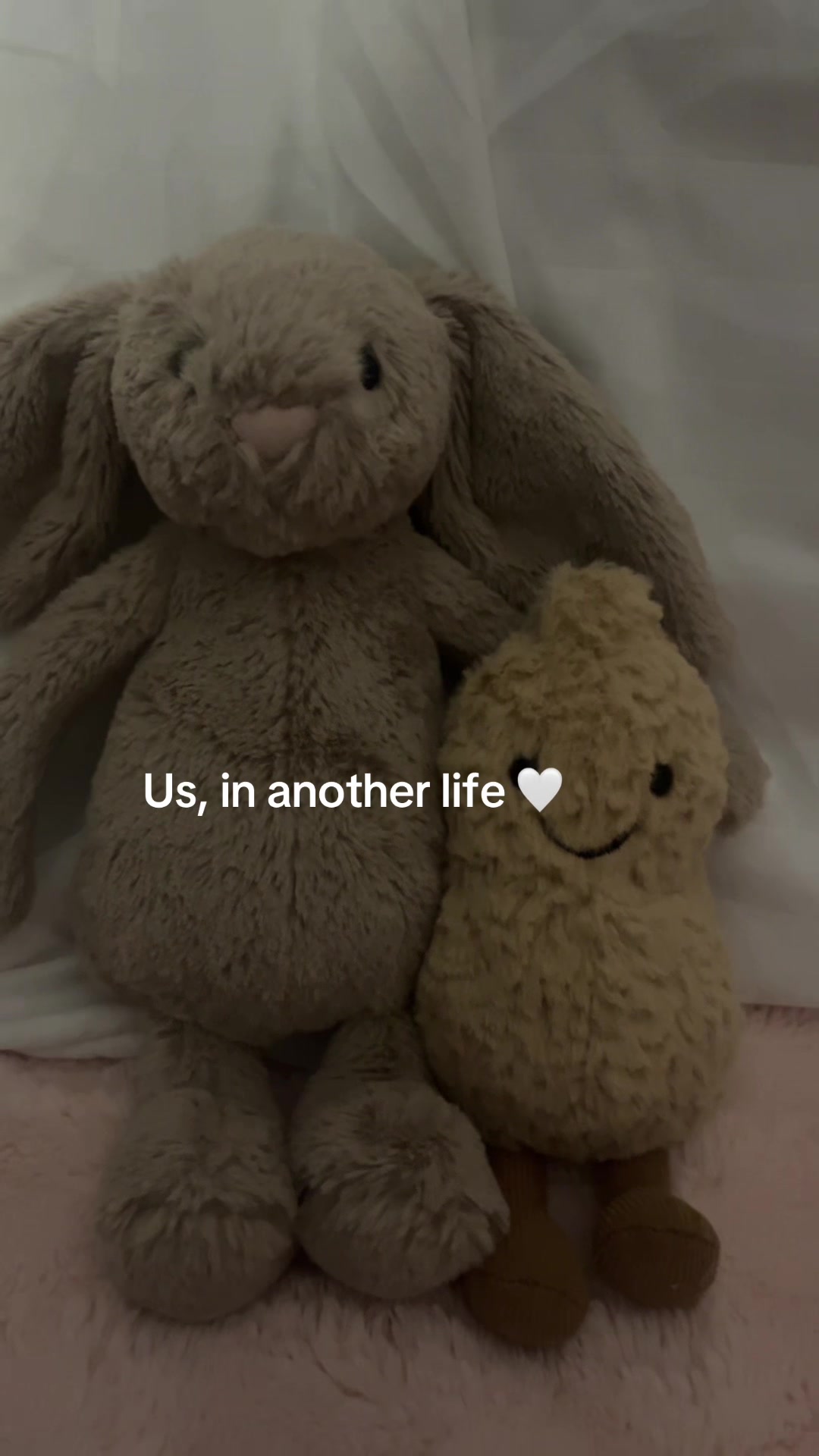 @mᥲძs 🌙
