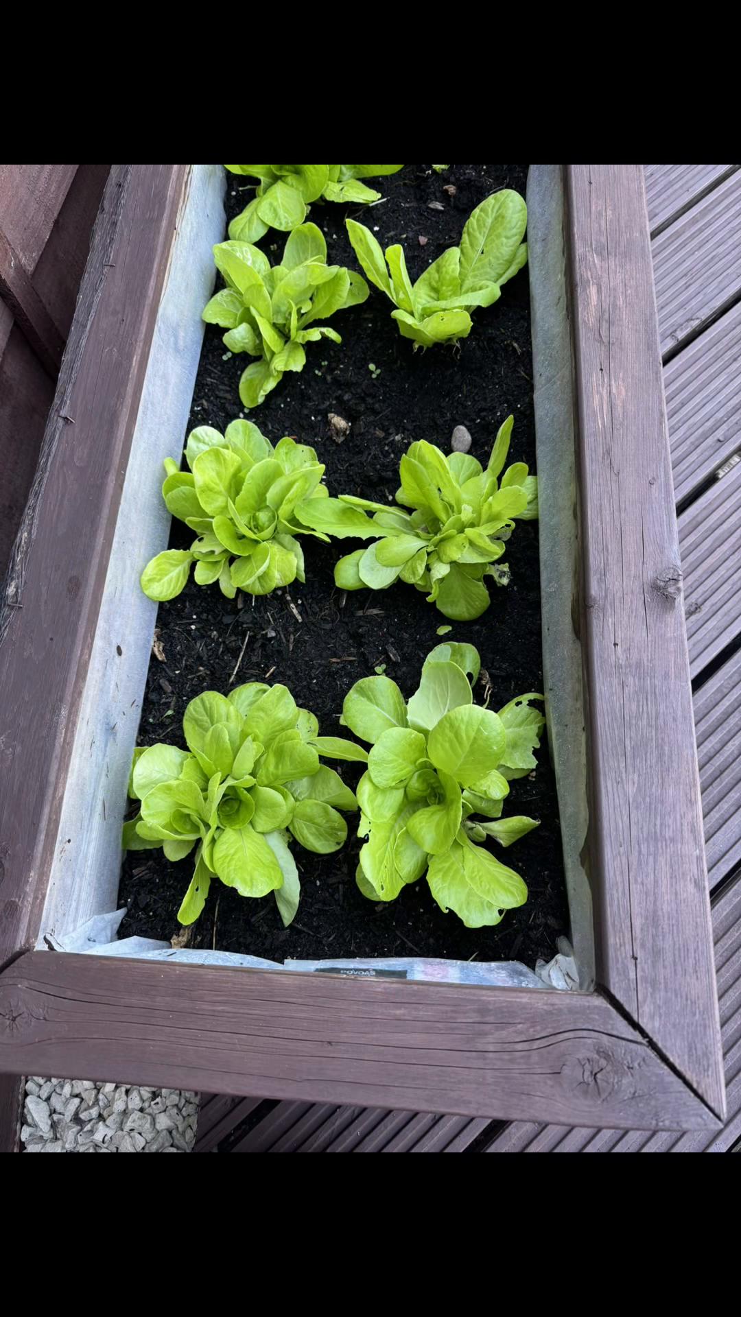 @Granddad Greenhouse
