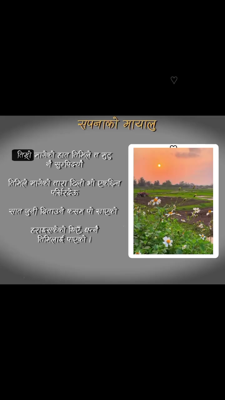 @ZX  Mishan  ??