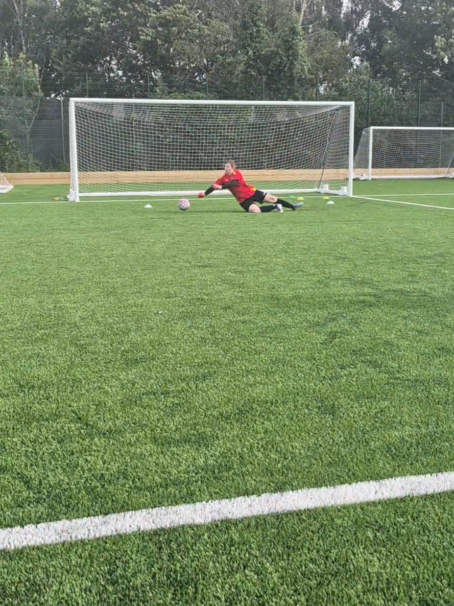 @hodge_gk