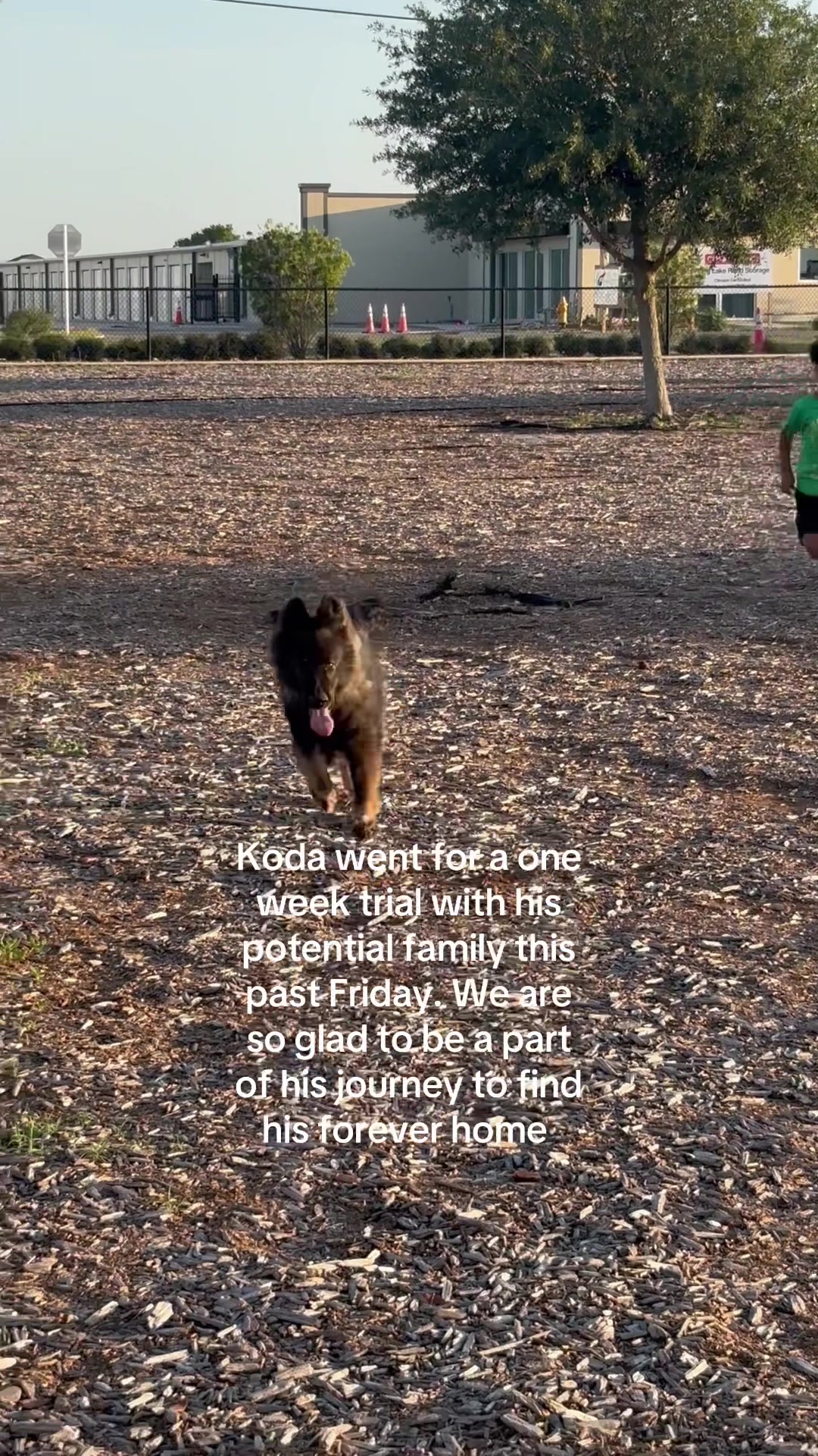 @The Krazy Farm