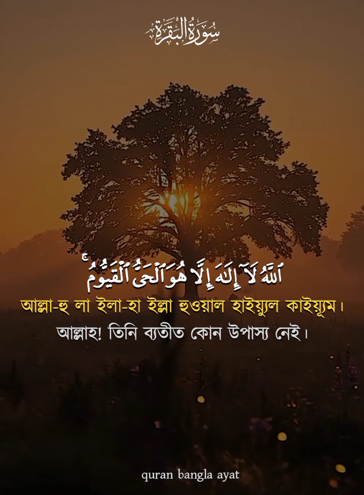 @➤⃝⃝কুরআনের বাণী᭄quran Bangla