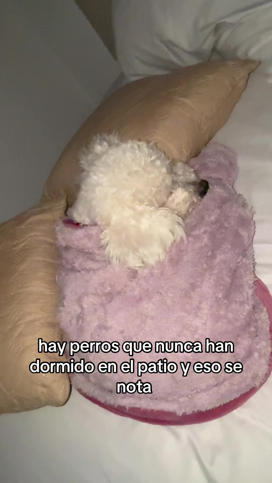 @LAURITA