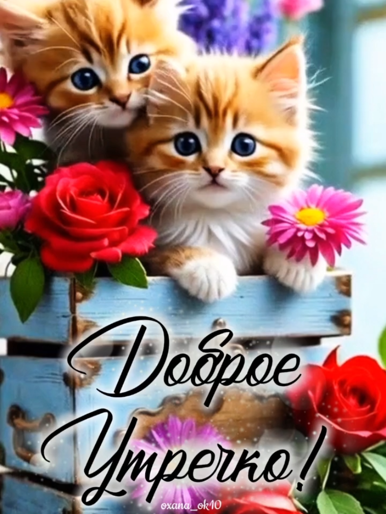 @❀︎𝓞𝔁𝓪𝓷𝓪_𝓸𝓴10❀︎