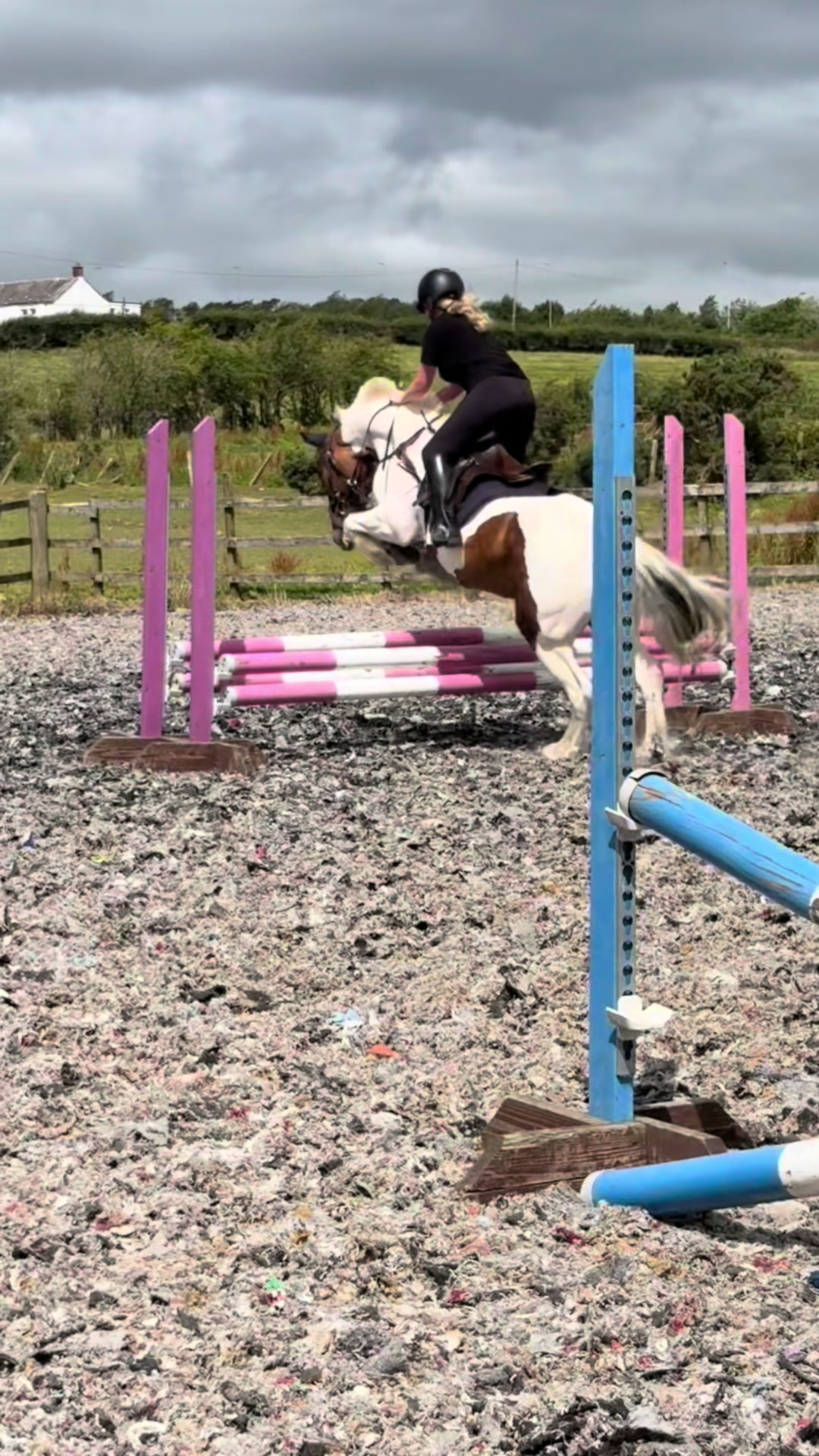 @Lilywiththecobs🐴