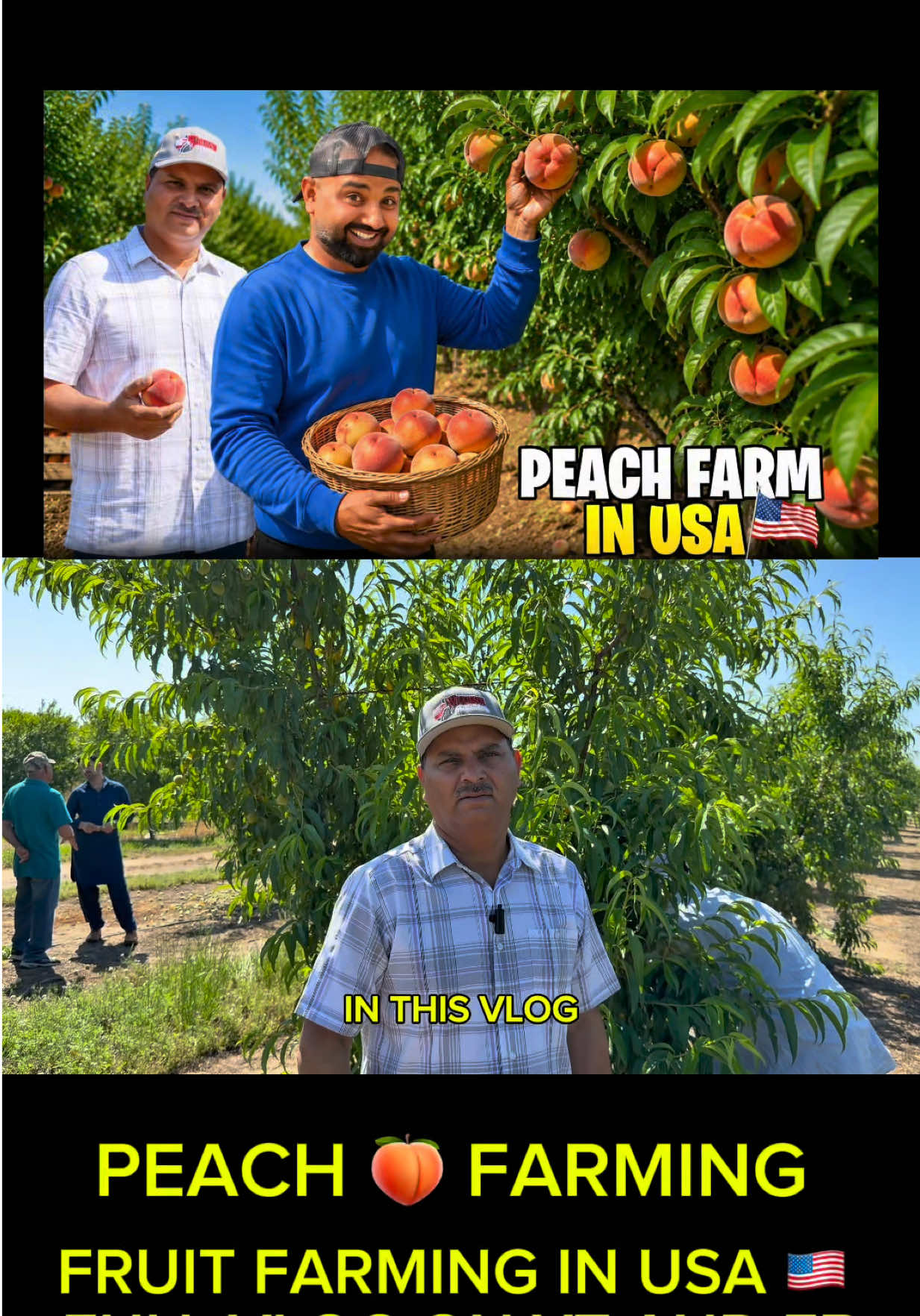 @Hilarious_zain