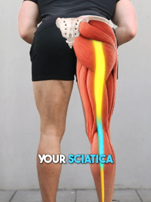 @Recover Pain