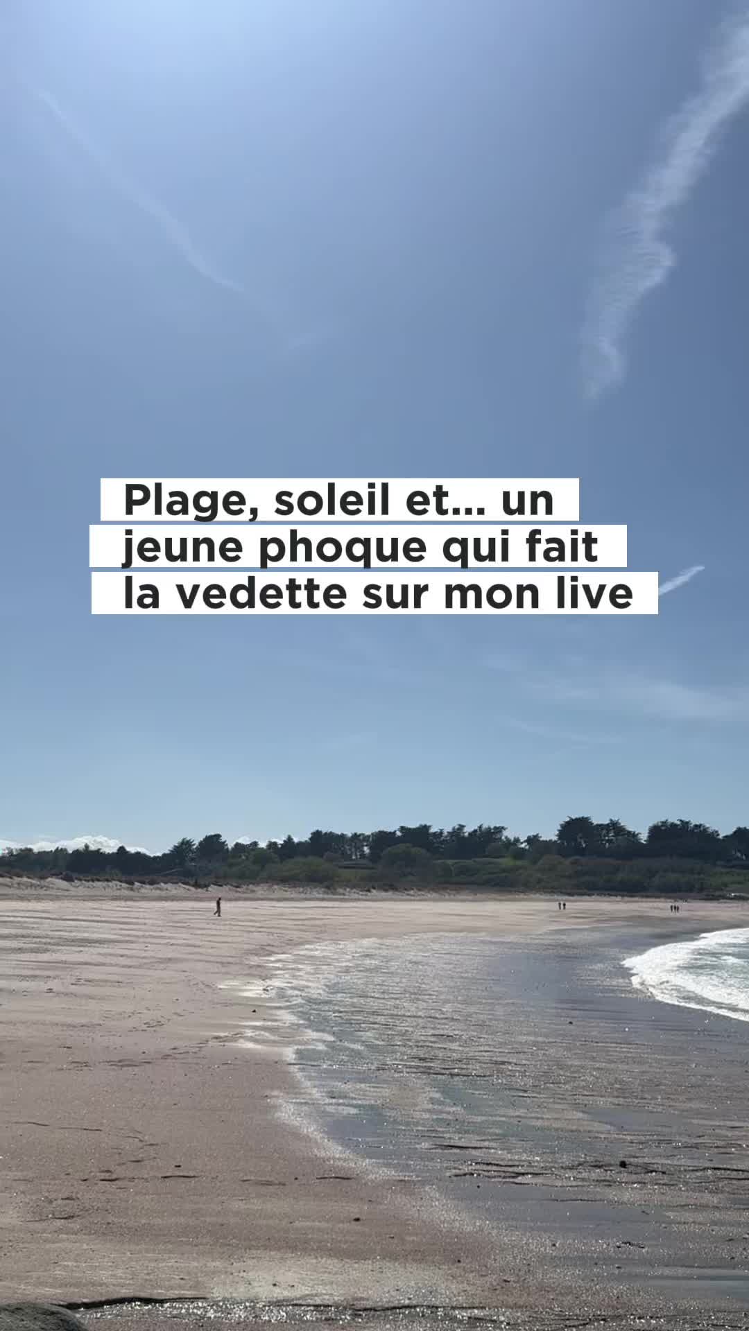 @Ulysse Odysée