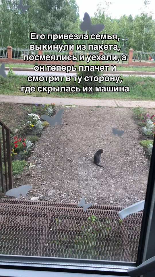 @тгк: ЯНА МИСТИК