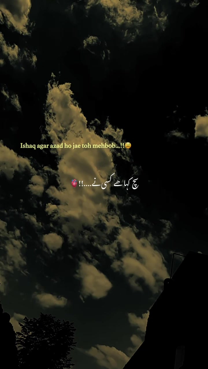 @🕊️