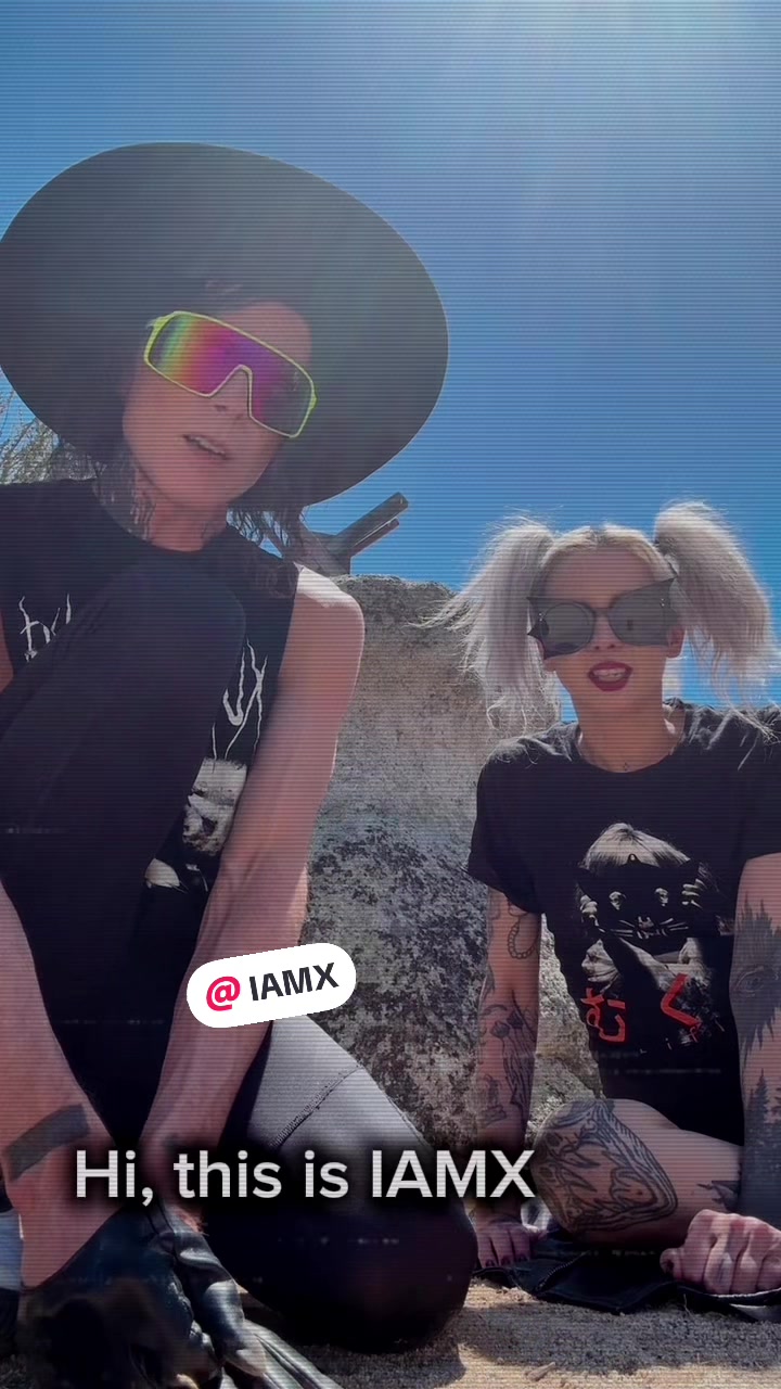 @auxanimaux