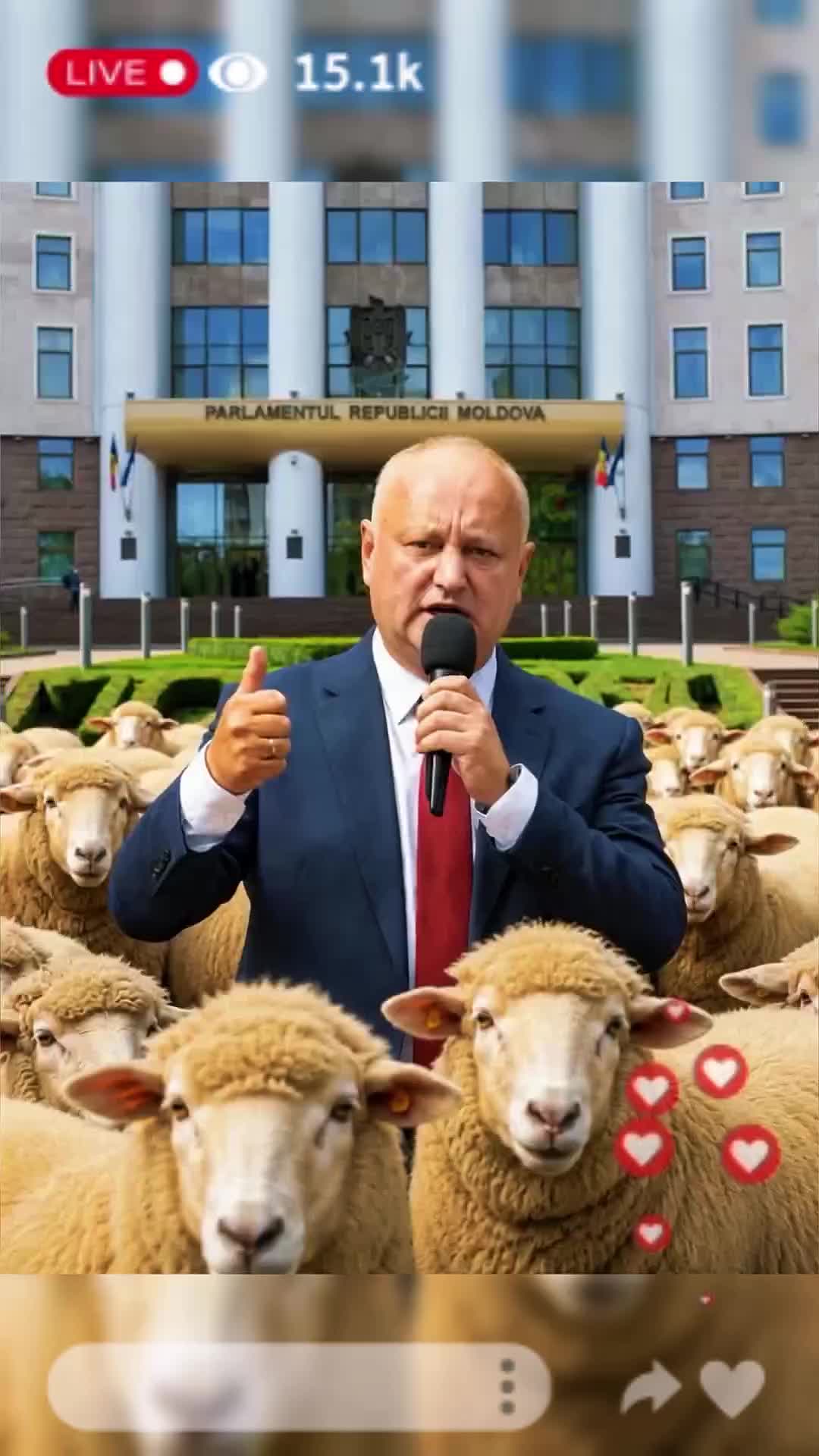 @Zona Liberă