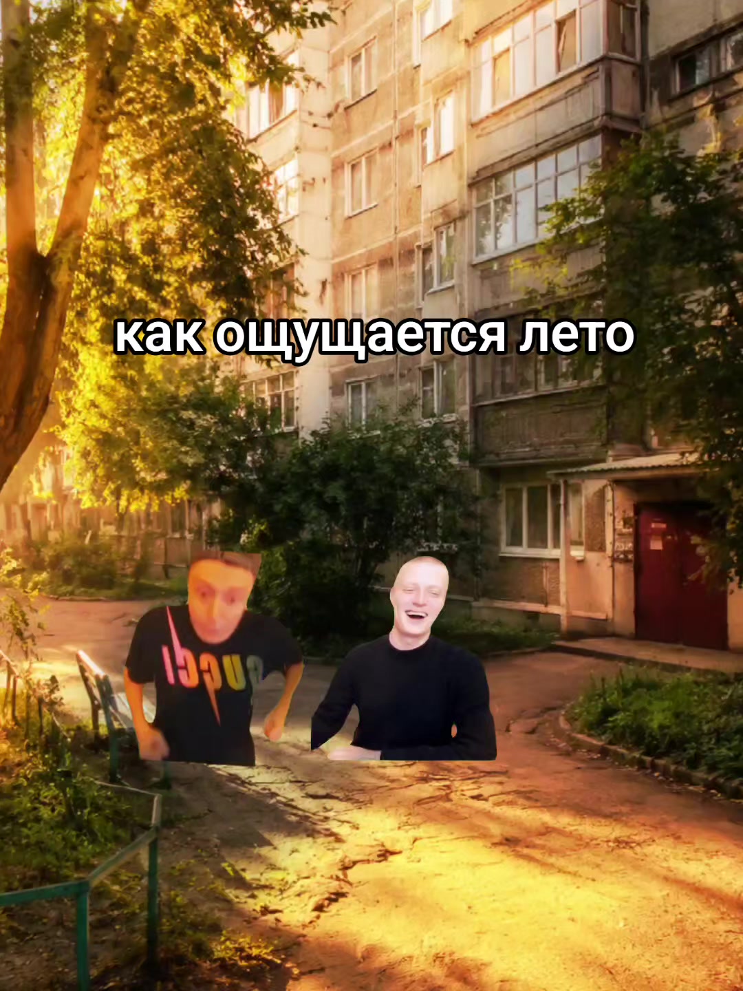 @Cardrs