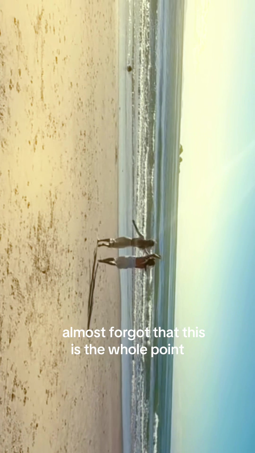 @LEO🦂