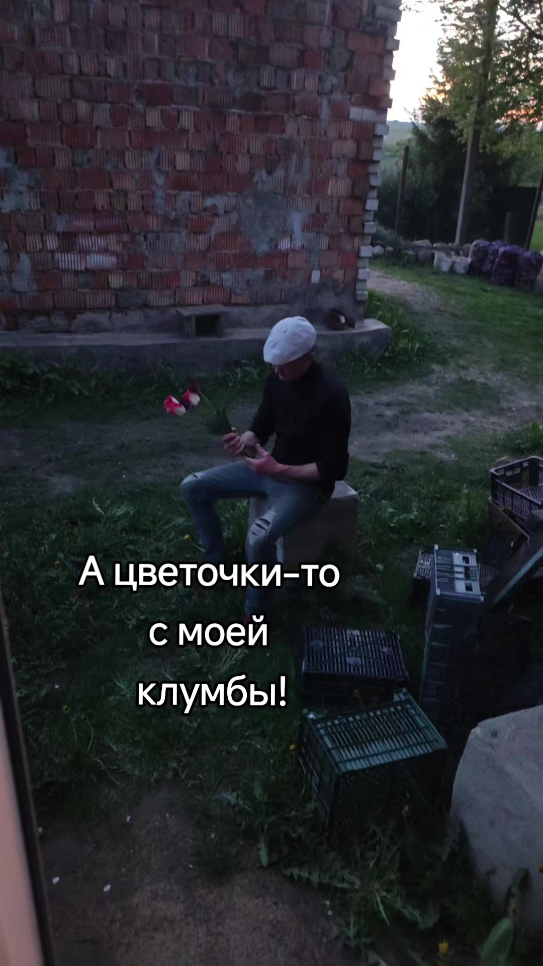 @Картофель Могилёв