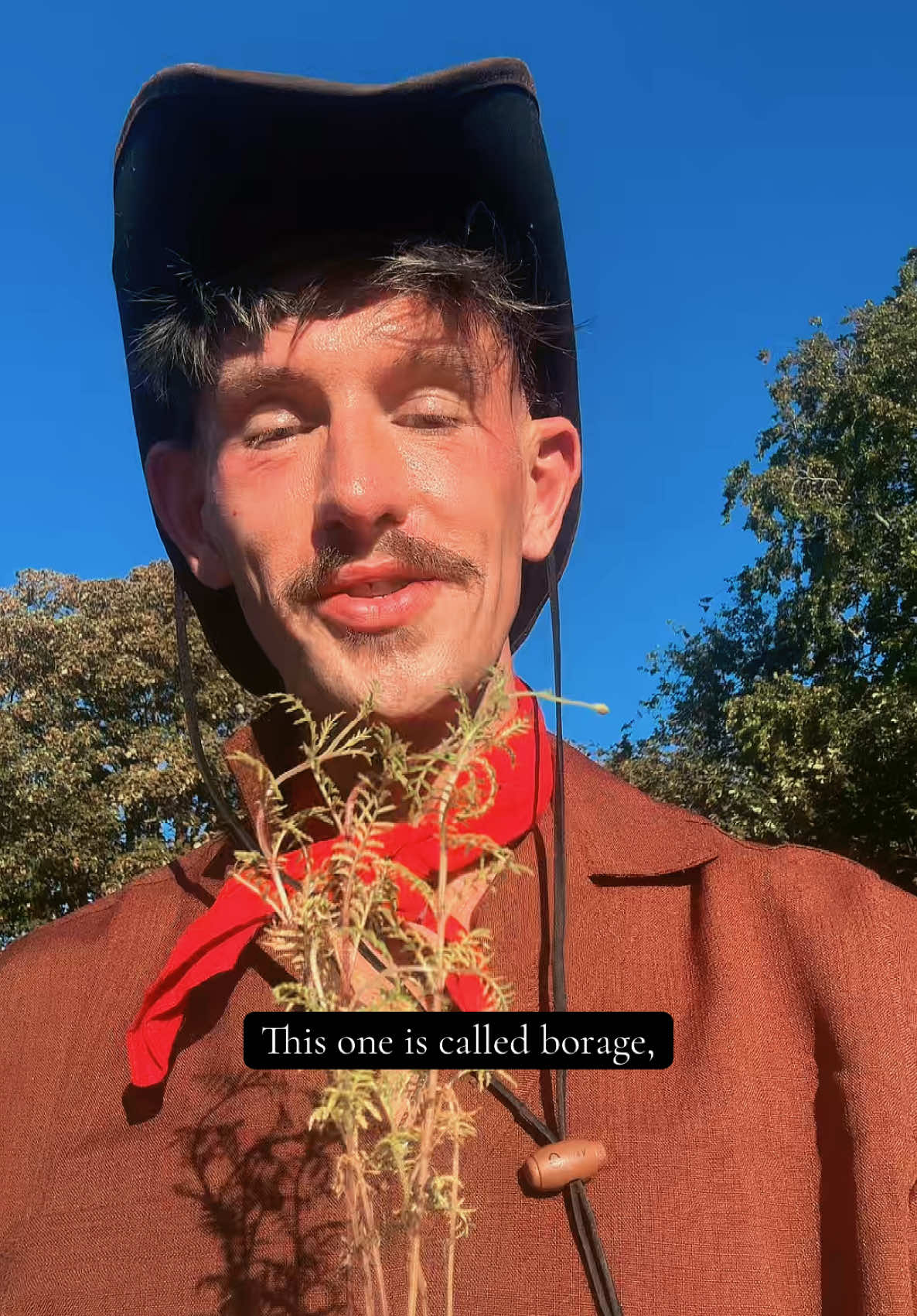 @Patrick Wolf