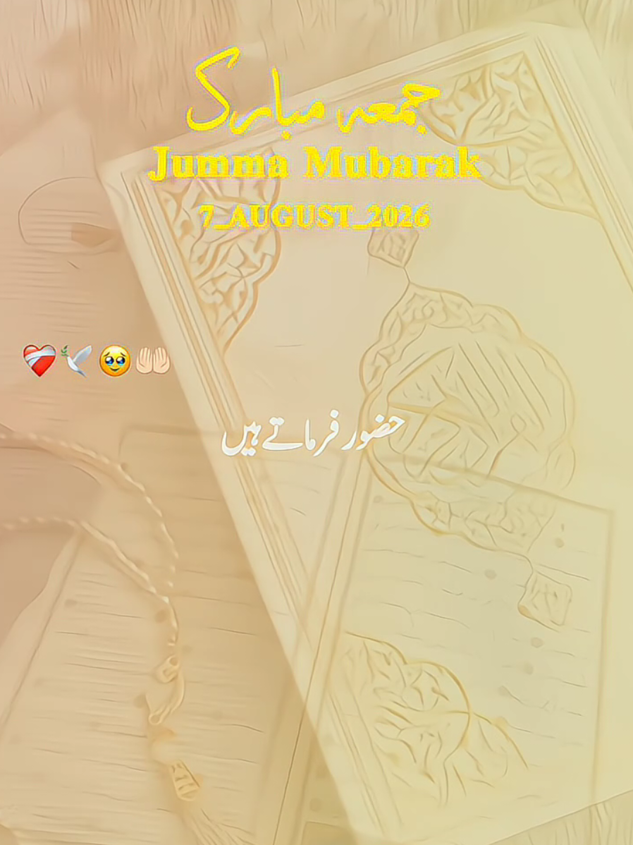 @𝐒𝐀𝐐𝐈𝐁 𝐄𝐃𝐈𝐓𝐒✨️