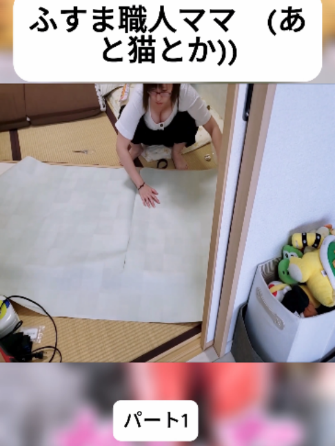 @こけぱぱサブチャンネル