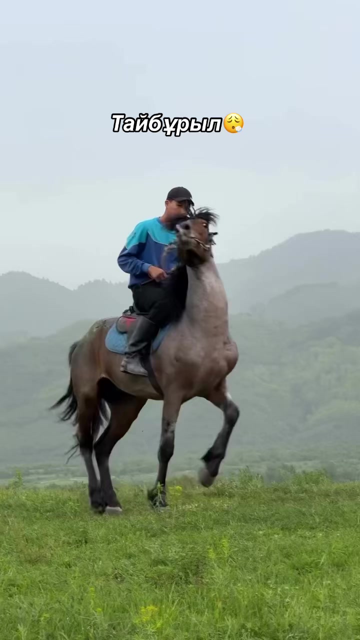 @akshatau_horses