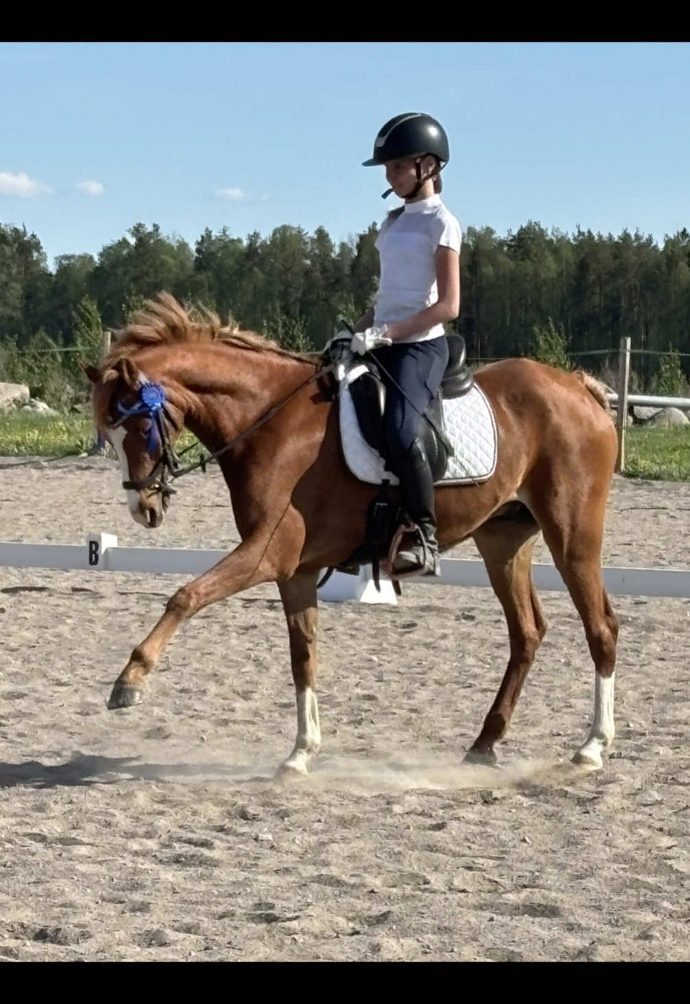 @Equestrian_tiiaa
