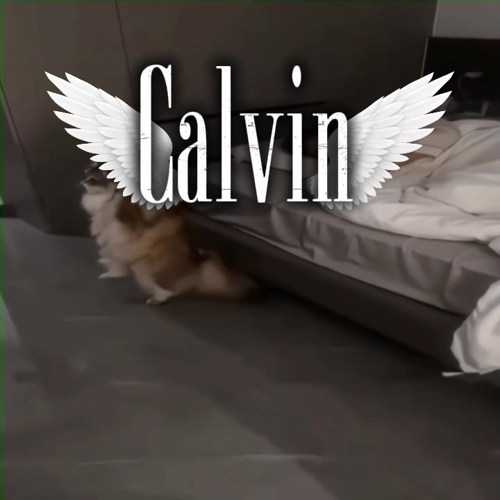 @Calvin