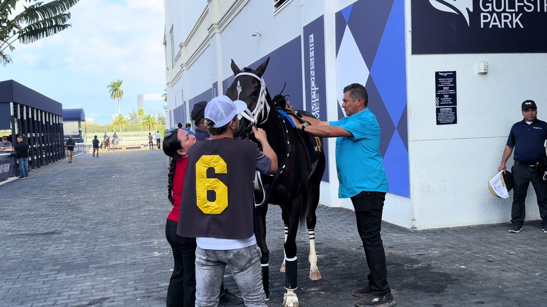 @gonzalezracingstables
