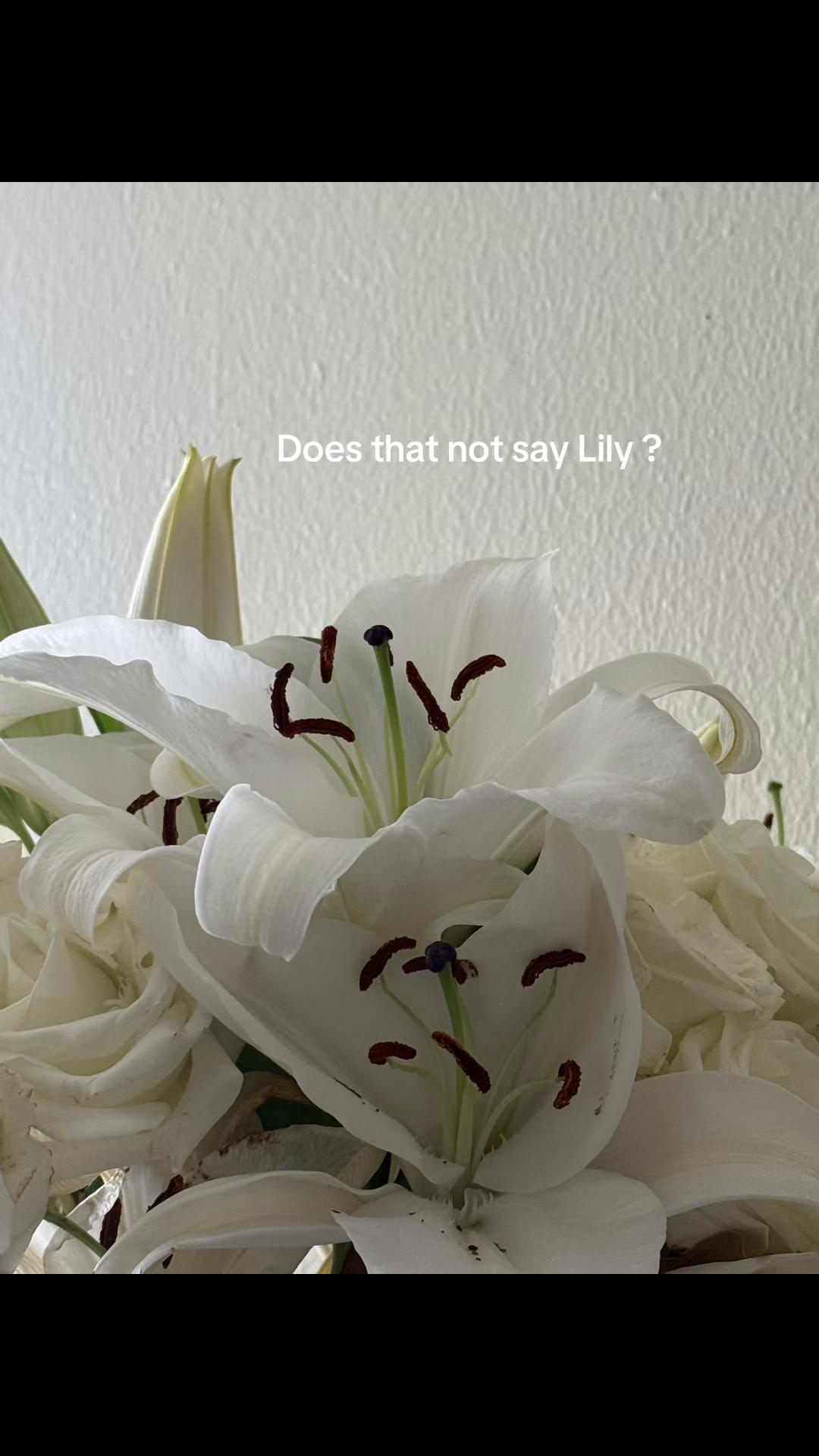 @lavenderblissbaby